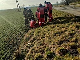 [FOTO] Bóbr wpadł do studzienki. Pomogli strażacy