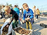 Tworzyli ekodomki w Żarowie [Foto, Wideo]