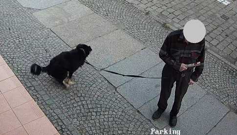 Nie posprzątał po psie i został ukarany mandatem karnym [FOTO]