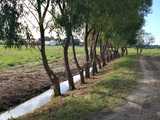 [FOTO] Zakończyła isę konserwacja rowów melioracyjnych w gminie Świdnica
