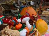 [WIDEO, FOTO] Dyniowe świętowanie w Wierzbnej. Świetna zabawa i pyszne potrawy na 7. edycji Święta Dyni