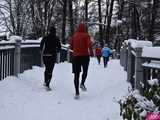 [FOTO] Pobiegli zaśnieżonymi alejkami Parku Centralnego. Finał Świdnickich Biegów Parkowych
