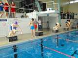 [FOTO] Uczniowie świdnickich podstawówek rywalizowali w Mikołajkowych Zawodach Pływackich