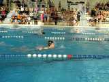 [FOTO] Uczniowie świdnickich podstawówek rywalizowali w Mikołajkowych Zawodach Pływackich