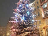 [FOTO] Magia świąt na ulicach miasta w obiektywie świdniczan. Rozstrzygnięto konkurs fotograficzny