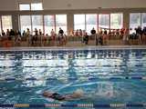 [FOTO] Za nami Mistrzostwa Gminy Żarów Szkół Podstawowych w pływaniu