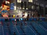[FOTO] Za nami Mistrzostwa Gminy Żarów Szkół Podstawowych w pływaniu