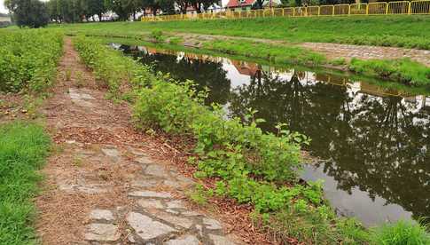 Miasto uporządkuje brzegi Bystrzycy oraz potoku i zbiornika w parku Centralnym. To efekt porozumienia z Wodami Polskimi [SZCZEGÓŁY]