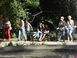 [WIDEO/FOTO] Znane covery w wykonaniu wokalistów z Katharsis wybrzmiały w Parku Młodzieżowym