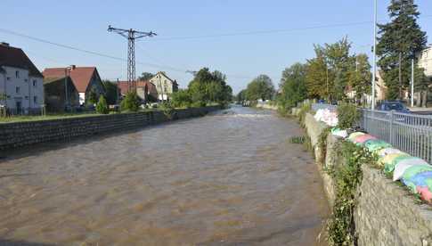 [FOTO] Aktualny stan Strzegomki