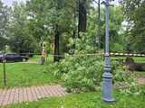 [FOTO] Park Miejski w Świebodzicach zamknięty do odwołania