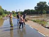 Wtorkowy raport na temat aktualnej sytuacji w gminie Żarów 