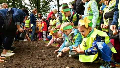 [FOTO] Zasadzili żonkile, które wiosną stworzą żółte Pola Nadziei. Wystartowała kolejna edycja akcji świdnickiego hospicjum