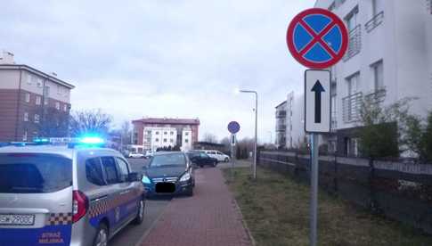 Pojazd, który wyjechał z parkingu bez kierowcy, pogryzienie przez psa i papuga na parapecie. Interwencje Straży Miejskiej