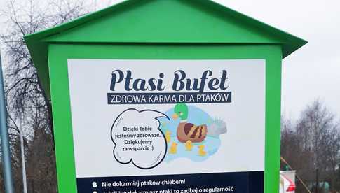 Ptasi bufet stanął nad stawem miejskim w Żarowie 