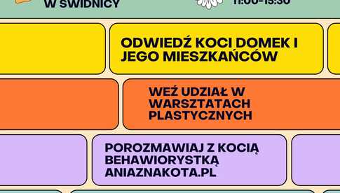 16.02, Świdnica: Dzień Kota w schronisku dla zwierząt