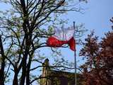 [FOTO] Pszenno biało-czerwone – uroczyste obchody Dnia Flagi RP 