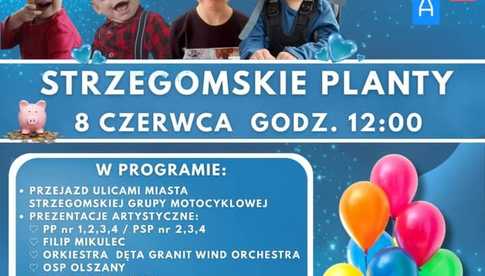 8.06, Strzegom: Koncert charytatywny dla Michałka, Igorka, Gabrysia i Miłoszka na Strzegomskich Plantach