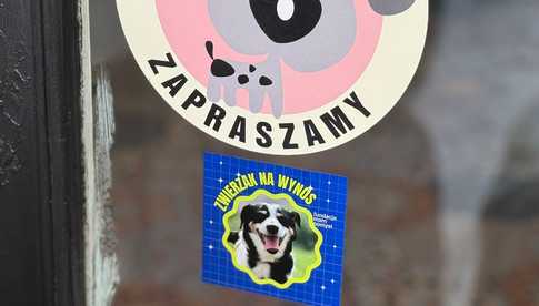 Zwierzak na wynos – zamów jedzenie, podaruj dom!
