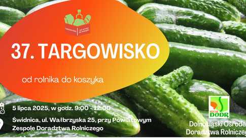 5.07, Świdnica: Targowisko Od rolnika do koszyka