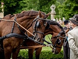 [FOTO] VII Międzynarodowy Konkurs Tradycyjnego Powożenia