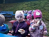 Przedszkolaki świętowały Dzień Pieczonego Ziemniaka [Foto]
