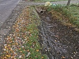 Trwa oczyszczanie przydrożnych rowów w gminach Głuszyca i Walim [Foto]