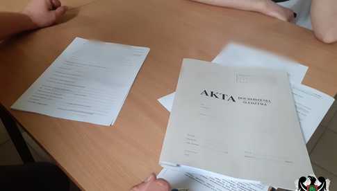 grafika