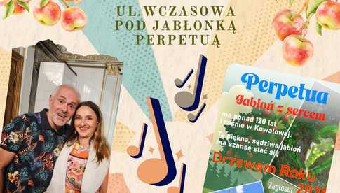grafika