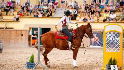 Czterodniowe międzynarodowe zawody jeździeckie na Partynicach już od czwartku!