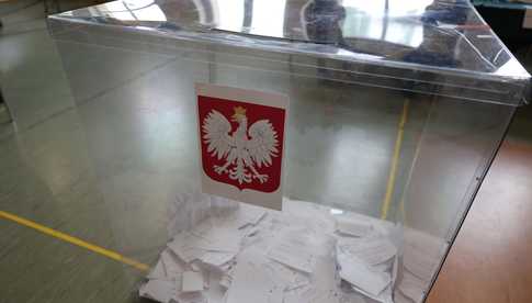 grafika