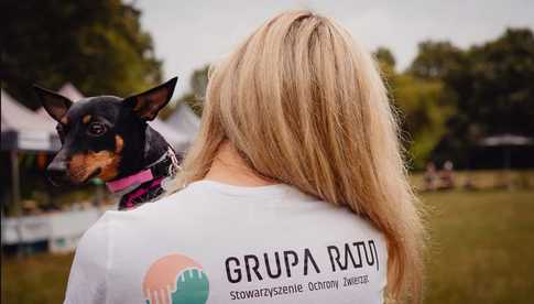 grafika