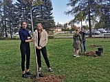 #ZieloneZąbkowice – posadzono drzewa, krzewy i kwiaty 