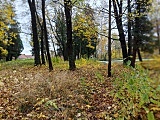 Rusza rewitalizacja parku w Grodziszczu