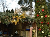  Żywa szopka w Stoszowicach