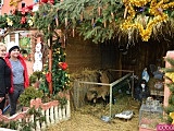  Żywa szopka w Stoszowicach