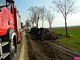 Samochód ciężarowy przewożący drzewo wypadł z drogi na ósemce