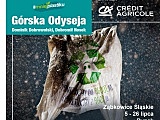„Górska Odyseja”: śmieciowe skarby na ekologicznej wystawie w Ząbkowicach Śląskich