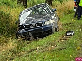 Audi uderzyło w drzewo i wpadło do rowu przed Kamieńcem