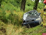 Audi uderzyło w drzewo i wpadło do rowu przed Kamieńcem