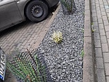 Mieszkańcy Pawłowic i Ząbkowic Śląskich upiększyli kolejne tereny gminne