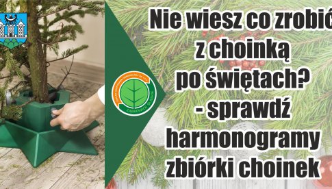Poświąteczna zbiórka choinek w gminie Ząbkowice Śląskie