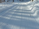 Dobre warunki do narciarstwa biegowego w Srebrnej Górze