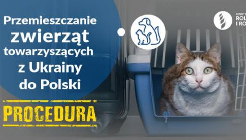 Informacja dla osób przemieszczających się z Ukrainy ze zwierzętami towarzyszącymi