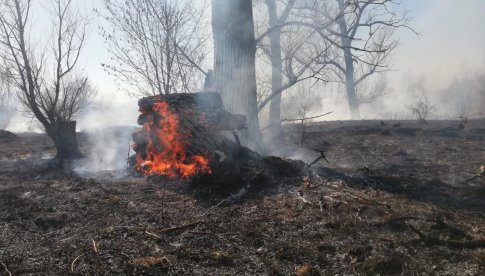 W tym roku już 102 pożary suchych traw w powiecie ząbkowickim