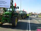 Rolnicy protestują na dk8 w Ząbkowicach Śląskich w rejonie ulicy Wrocławskiej