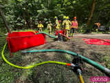 Strażacy z Europy, Meksyku czy Australii szkolili się w gminie Bardo z gaszenia pożaru lasu w górzystym terenie 