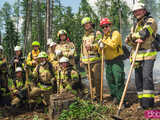 Strażacy z Europy, Meksyku czy Australii szkolili się w gminie Bardo z gaszenia pożaru lasu w górzystym terenie 