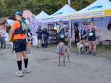 [FOTO] 230 zawodników, setki łap – podsumowanie finałowego biegu Pucharu Polski w Dogtrekkingu