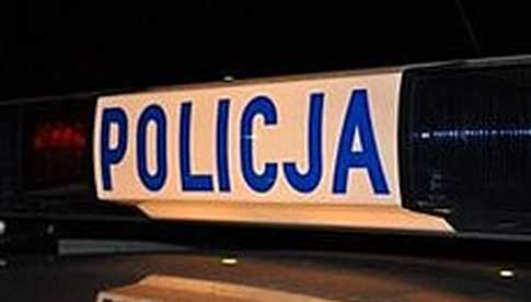 policja